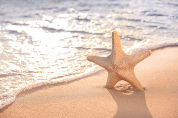 Fototapeta na wymiar Starfish on sandy sea beach