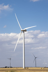 Wind Turbine and Cattle in West Texas