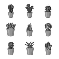 Vector design of cactus and pot logo. Collection of cactus and cacti stock vector illustration.