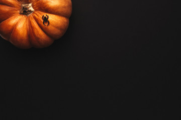 Halloween background with pumpkin and spider - obrazy, fototapety, plakaty