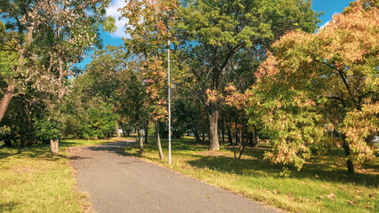 Fototapeta na wymiar Autumn Trees In A Park