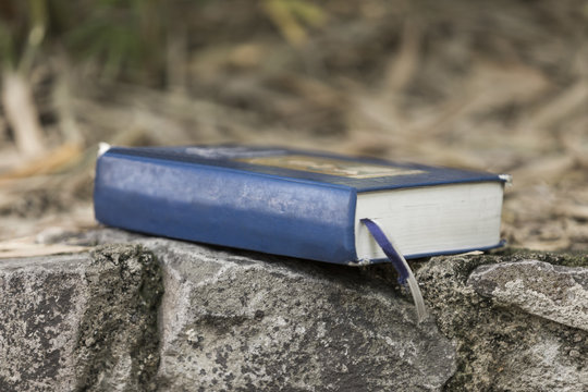 detail of holy bilbe