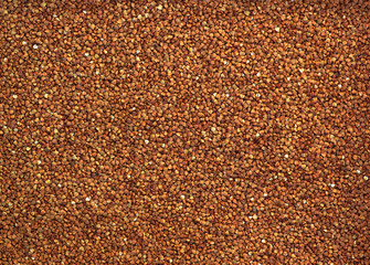Buckwheat grain, food background and texture. Healthy food