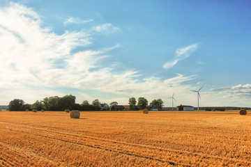 rolls of hay laying in distant field in the countryside on the green grass in meadow with forest...