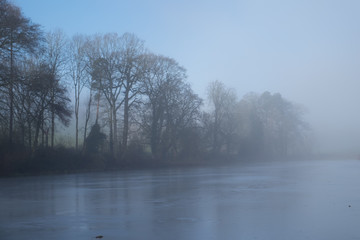 Obraz na płótnie Canvas Foggy winter morning in English woodland near shenington, Oxfordshire