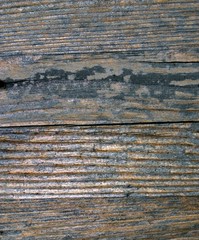 verwittertes holz mit maserung textur hintergrund