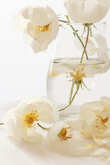 rose
