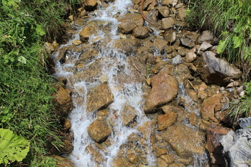 Bach fließt durch Wiese