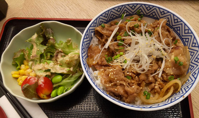 japanese Beef bowl 