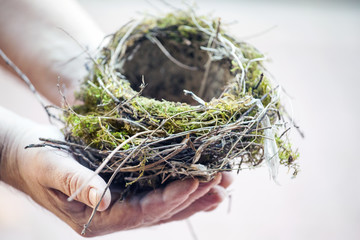 Man hands empty nest 