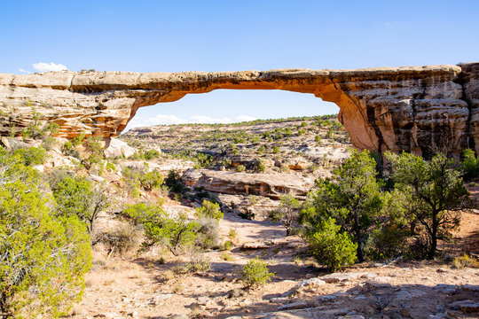 Fototapeta Natural Bridges National Monument, Owachomo Bridge, Utah, USA