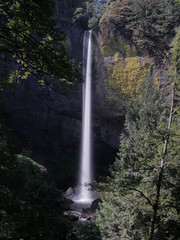 Tall waterfall Latourell Falls Oregon
