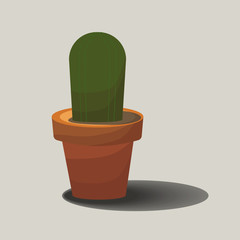 cactus in a pot