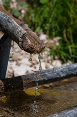 An old tree trunk is used as a through and is being filled by a flow pipe made from a second trunk. Image from the Italian Dolomites on a summer morning. Focus is on the dripping water.