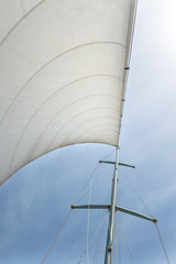 Fototapeta premium White sail of a sailing boat against sky. Sails of river sailing yacht in the wind against the blue sky