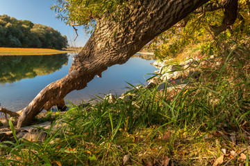 Donau im Herbst  bei Straubing / Niederbayern