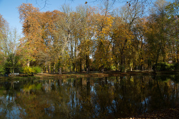 Fototapeta na wymiar Bäume im Herbst