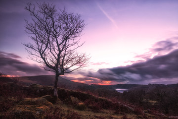 Dartmoor sunset devon england uk 