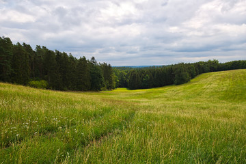 Great meadow in the valley