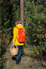 Naklejka na ściany i meble Girl in a yellow jacket with a backpack and a basket goes through the forest to collect mushrooms