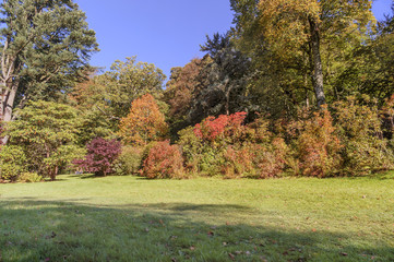 Fototapeta premium Autumn in the most popular park in the UK - Stourhead