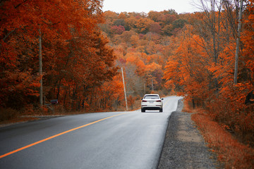 Driving on the highway and chasing the gold colours of Fall, Muskoka, Ontario, Canada. 