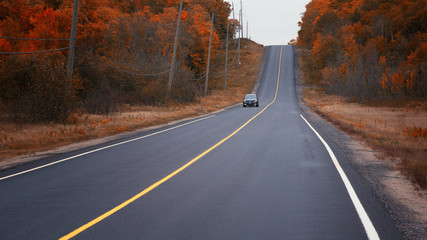 Naklejka premium Driving on the highway and chasing the gold colours of Fall, Muskoka, Ontario, Canada. 