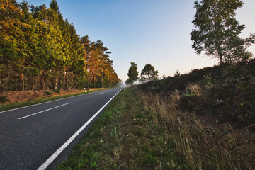 Road on the Lüneburg Heath