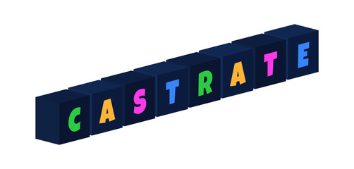 Castrate - multi-colored text written on isolated 3d boxes on white background