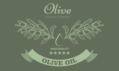 Olive oil package design for label with vintage sketch style. Vector Illustration.