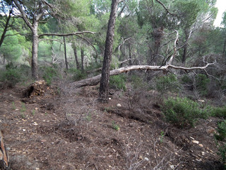 Paesaggio