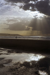 Deauville l'homme oiseau 