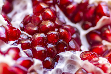 Pomegranate seeds close up