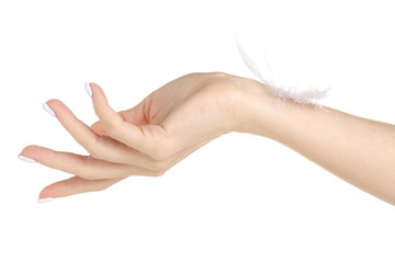 White feather in the female hand beauty care skin on a white background isolation
