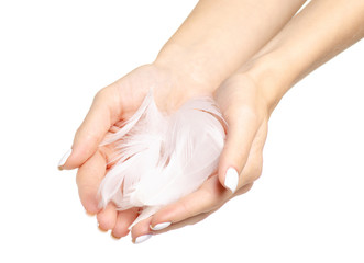 Naklejka premium White feather in the female hand beauty care skin on a white background isolation
