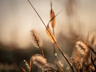 natur © CFFotografie