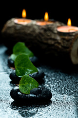 black massage stones and plants

