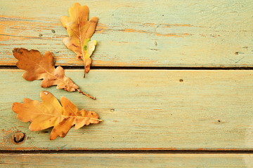 Naklejka na ściany i meble Autumn leaves on a rustic table