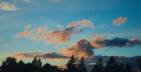 Light blue evening sky with orange clouds and tree silhouette