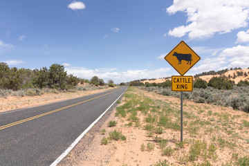 Yellow Cattle crossing sign on highway