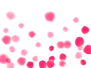 Pink rose petals falling valentine background.