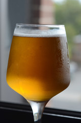 BEER GLASS ON TABLE/WINDOW