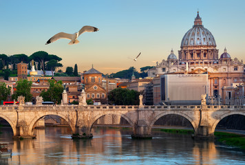 Fototapeta na wymiar Birds and Vatican