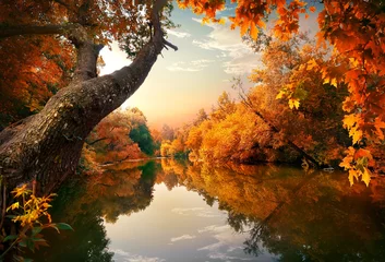 Deurstickers Rivier Oranje herfst op rivier