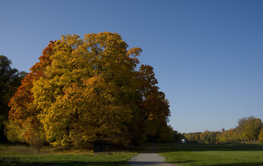 Autumn landskcape at Stockholm in oktober