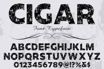 Vector illustration,font script typeface vector