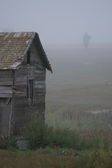 barn and field