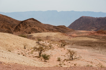 National Timna Park, located 25 km north of Eilat, Israel