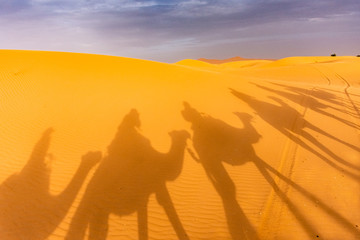Fototapeta na wymiar Shadows of camels in the Sahara Desert, Merzouga, Morocco