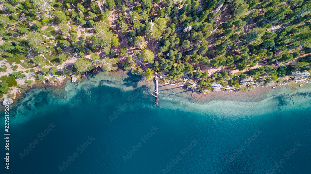 Sticker drone view of the shore with a pine tree lying on the ground at lake tahoe california